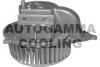 AUTOGAMMA GA20172 Interior Blower